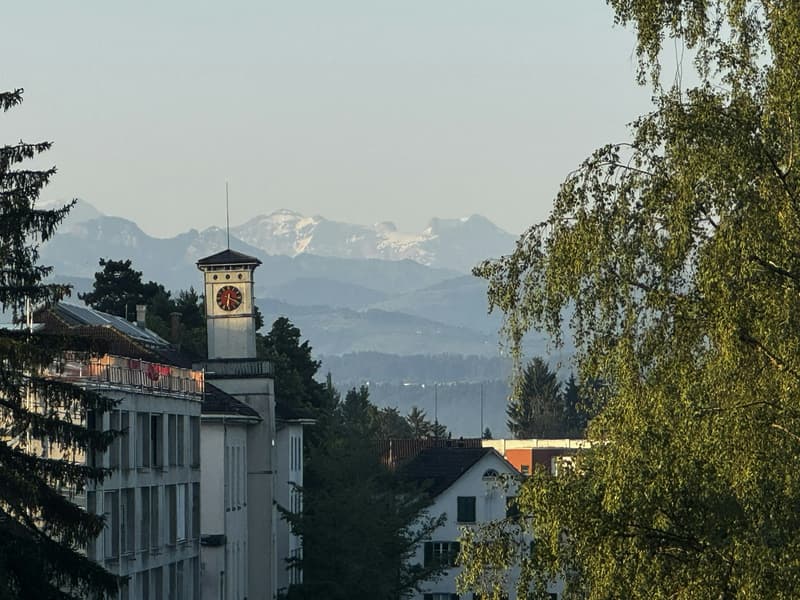 Erstvermietung in Uster - moderne 4½-Zimmerwohnungen für hohe Wohnansprüche (2)