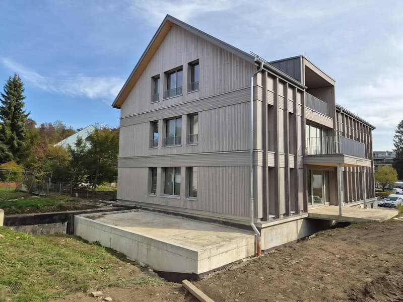 3½-Zimmer-Dachwohnungen an traumhafter Lage am Greifensee (2)