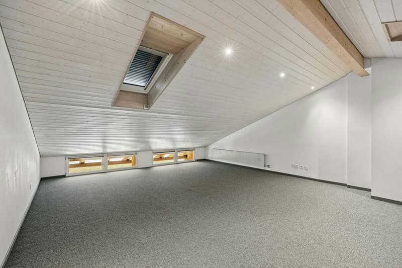 5.5-Zimmer-Reiheneinfamilienhaus mit viel Platz und Umschwung (12)