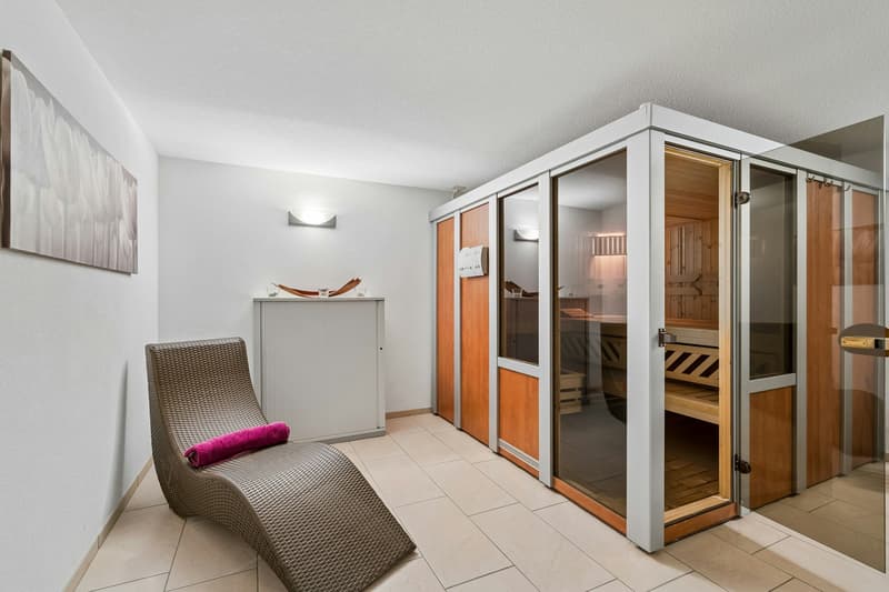 Loftartiges Wohnen mit grosser Terrasse und Raum für berufliche Perspektiven (12)