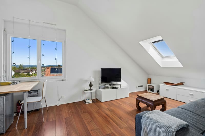Loftartiges Wohnen mit grosser Terrasse und Raum für berufliche Perspektiven (8)