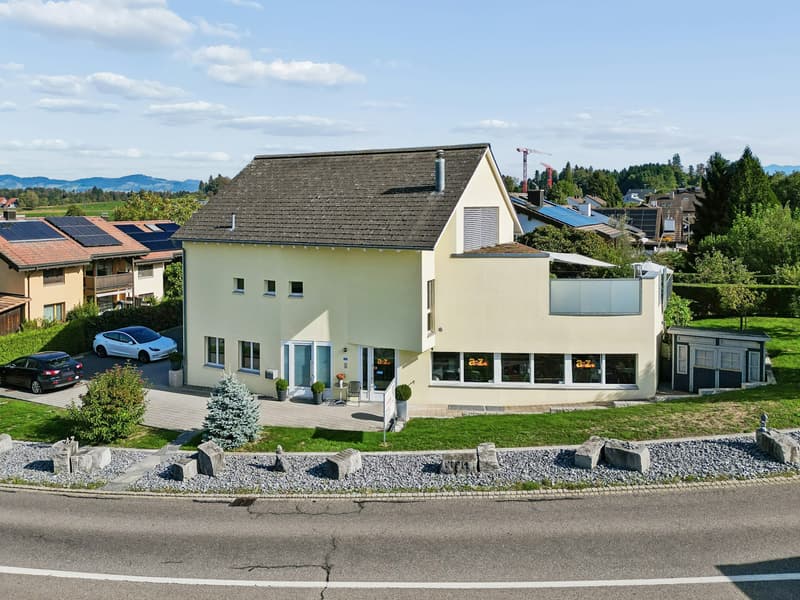 Loftartiges Wohnen mit grosser Terrasse und Raum für berufliche Perspektiven (13)