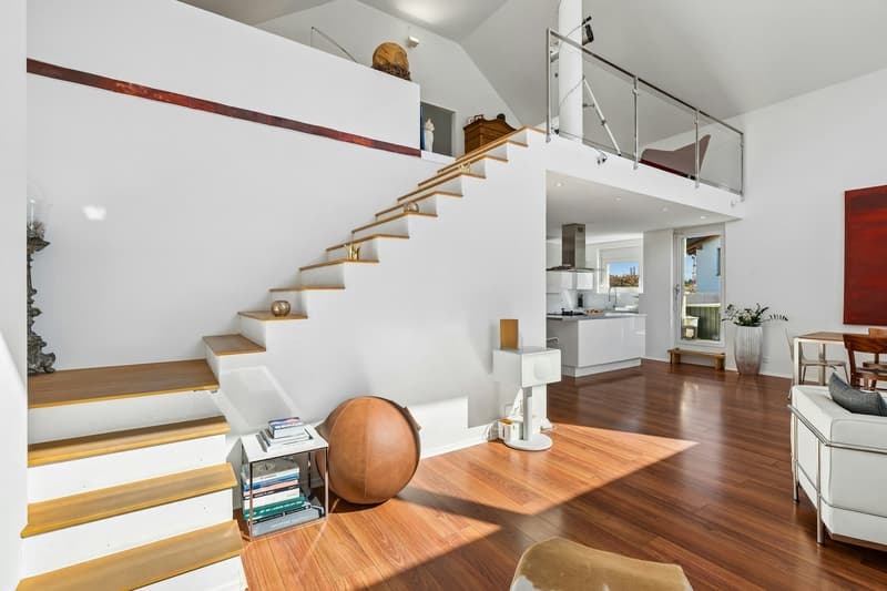 Loftartiges Wohnen mit grosser Terrasse und Raum für berufliche Perspektiven (6)