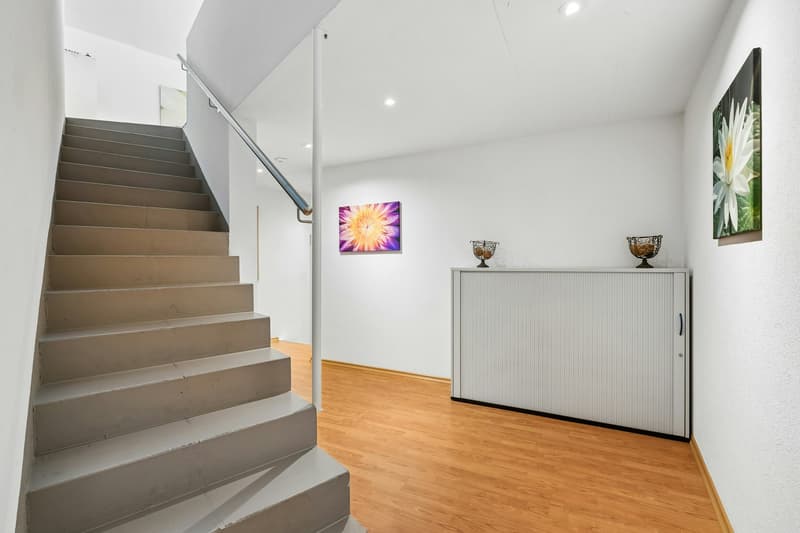 Loftartiges Wohnen mit grosser Terrasse und Raum für berufliche Perspektiven (11)