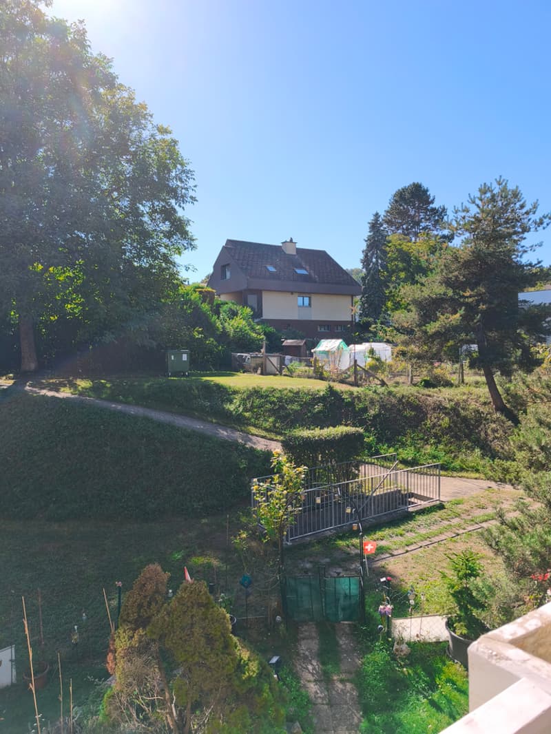 Aussicht.jpg