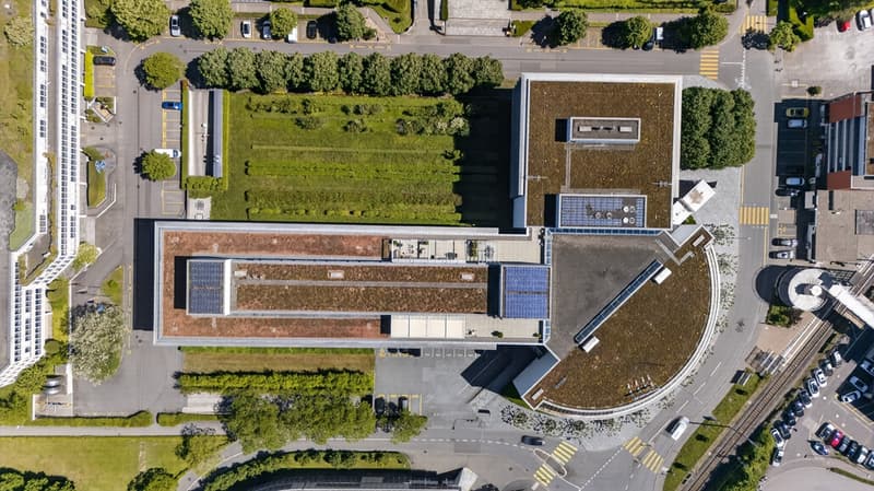 DJI_20260522153716_0023_D_100120.jpg