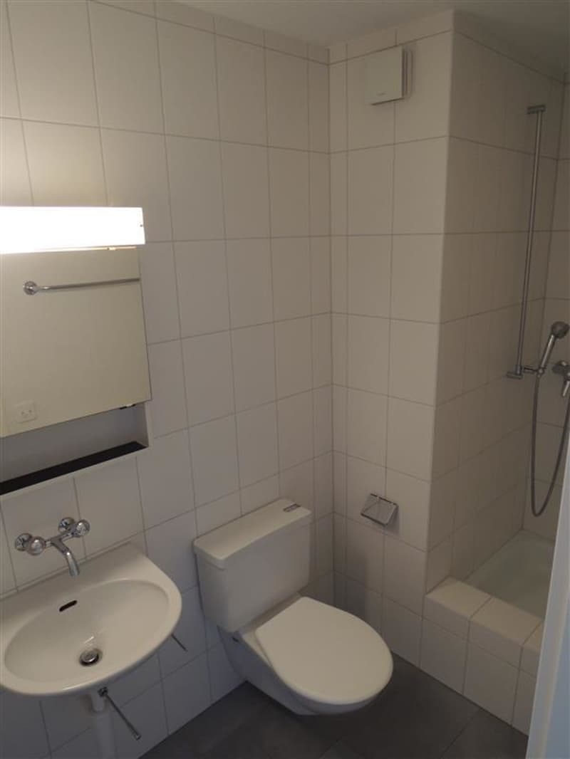 01655_01_0020_BADEZIMMER_KLEIN.JPG