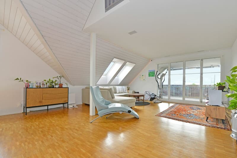 6.5-Zimmer-Dach-Maisonettewohnung im Grünen (4)
