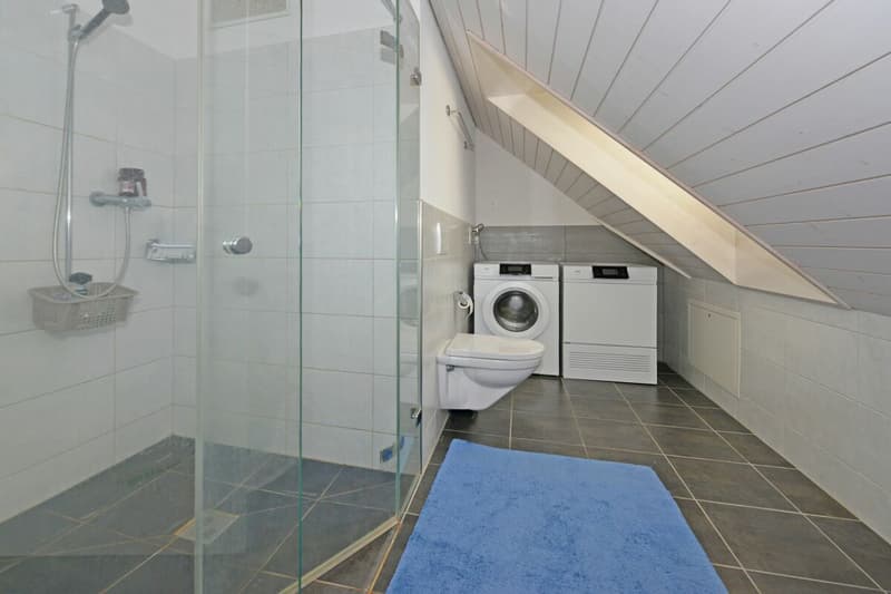 6.5-Zimmer-Dach-Maisonettewohnung im Grünen (10)