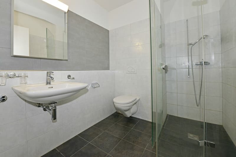 5.5-Zimmer-Dachmaisonettewohnung im Grünen (14)
