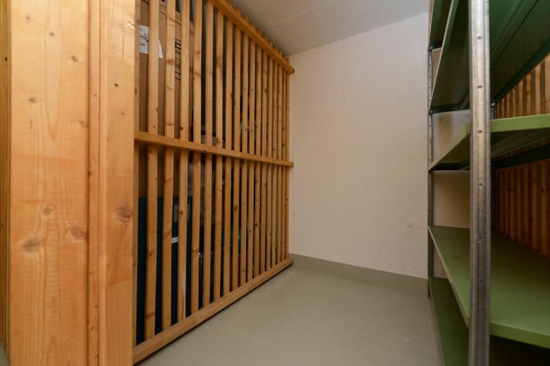 Attraktive 2.5-Dachzimmerwohnung mit genialer Weitsicht auf die Berge (16)