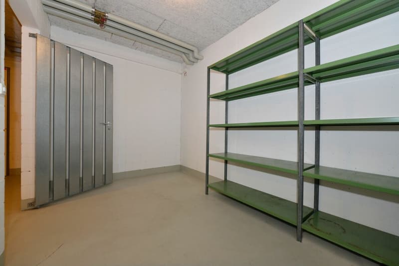 Attraktive 2.5-Dachzimmerwohnung mit genialer Weitsicht auf die Berge (15)