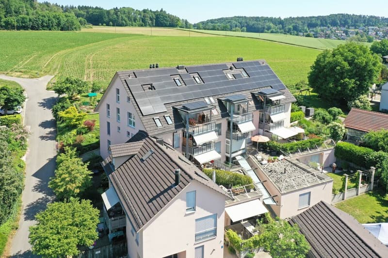 Attraktive 2.5-Dachzimmerwohnung mit genialer Weitsicht auf die Berge (1)