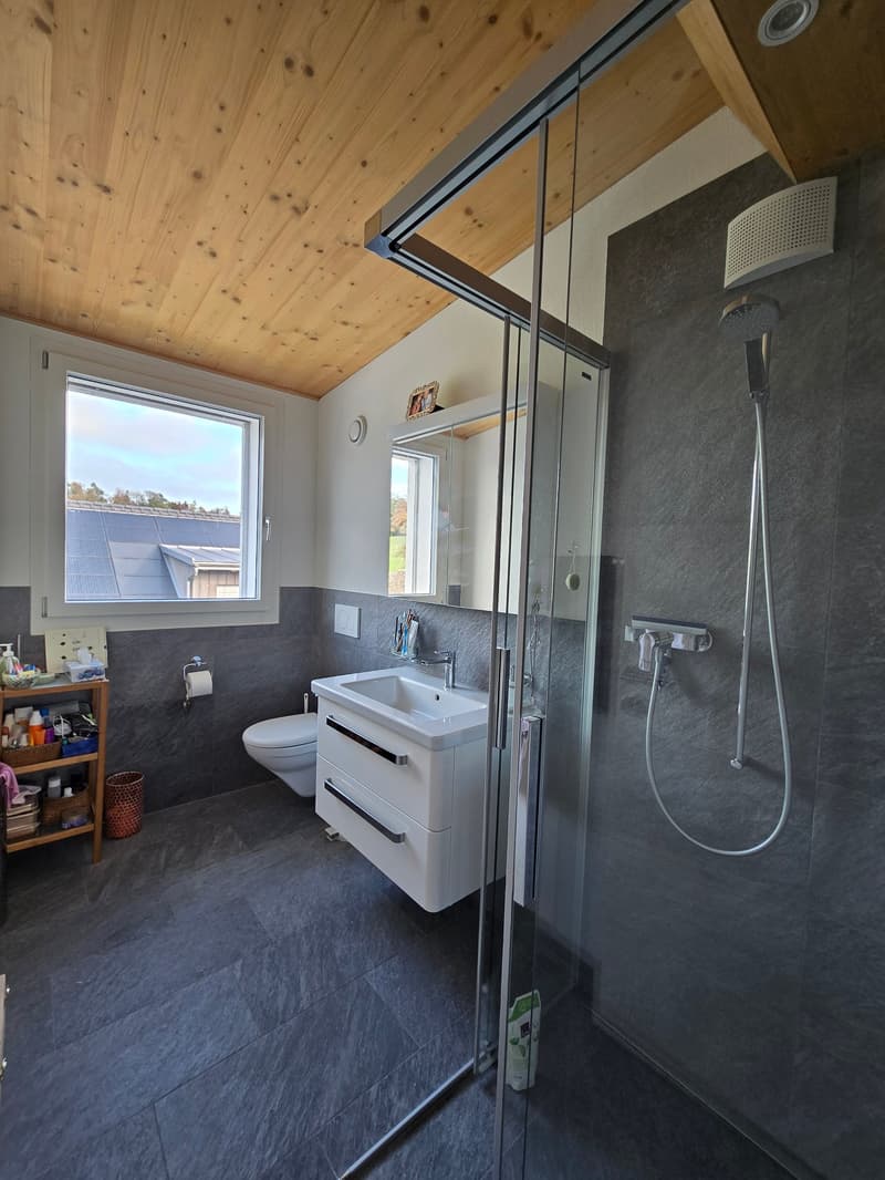 Charmante 3.5-Zimmer-Dachwohnung in Hombrechtikon (6)