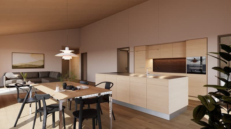 Moderne 4.5-Zimmer, Neubau, Attika in Hombrechtikon (3)