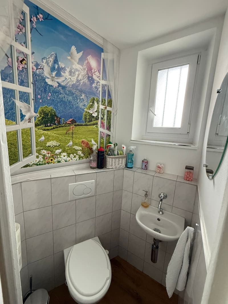 tiled walls, white toilet, white sink, wall mounted faucet, mirror, towel rack, shelf with cleaning products, decorative painting
