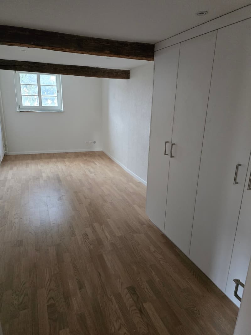 Praxisräume zu vermieten – 7.5-Zimmer-Etage, 175 m², zentral in Ottenbach (10)