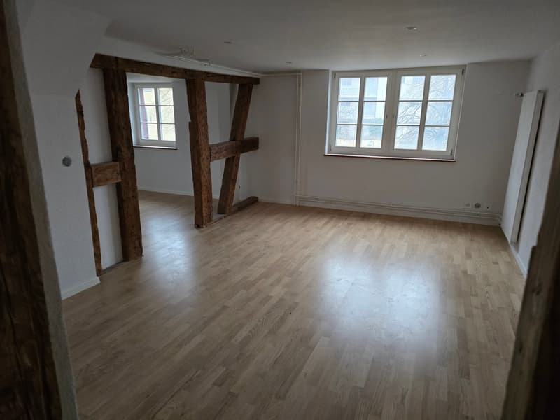 Praxisräume zu vermieten – 7.5-Zimmer-Etage, 175 m², zentral in Ottenbach (4)