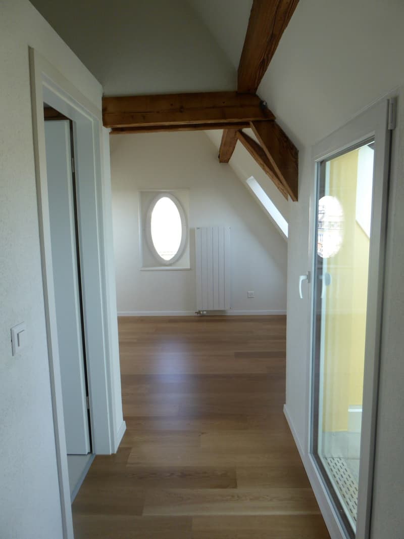 Gemütliche 2-Zimmer-Dachmaisonnette mit Dachterrasse (12)
