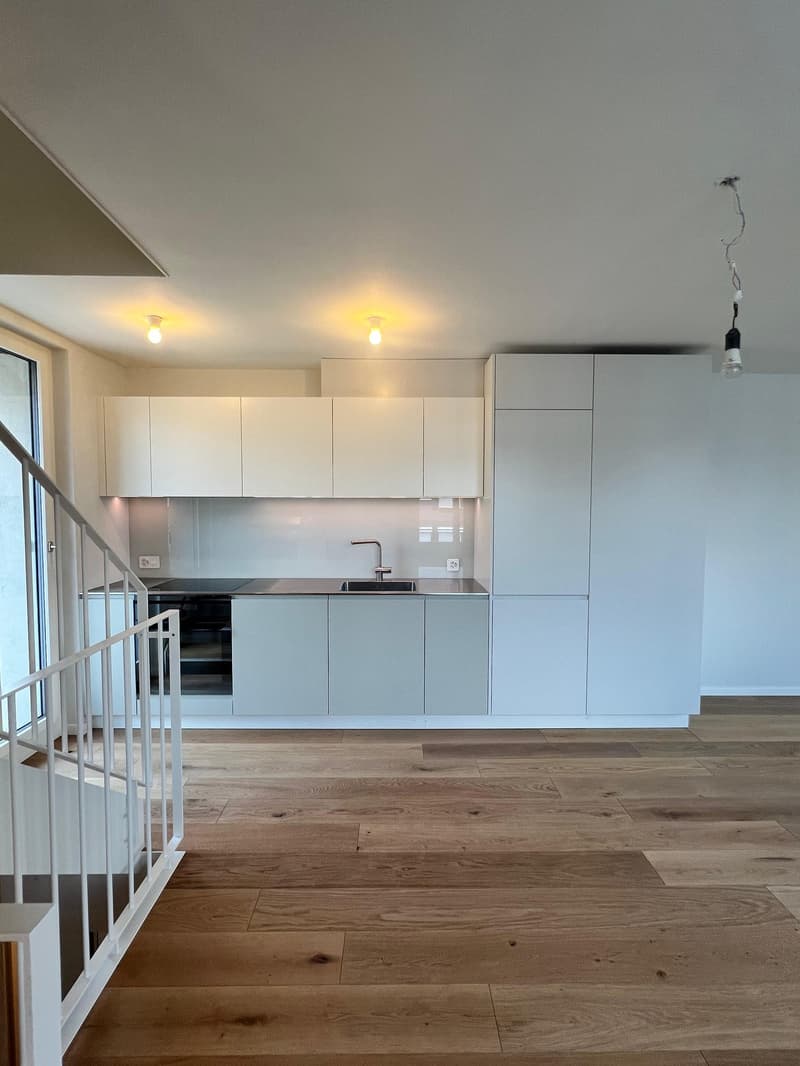 NEUBAU! Moderne 4.5-Zimmer-Maisonette-Wohnung über 3 Stockwerke (11)