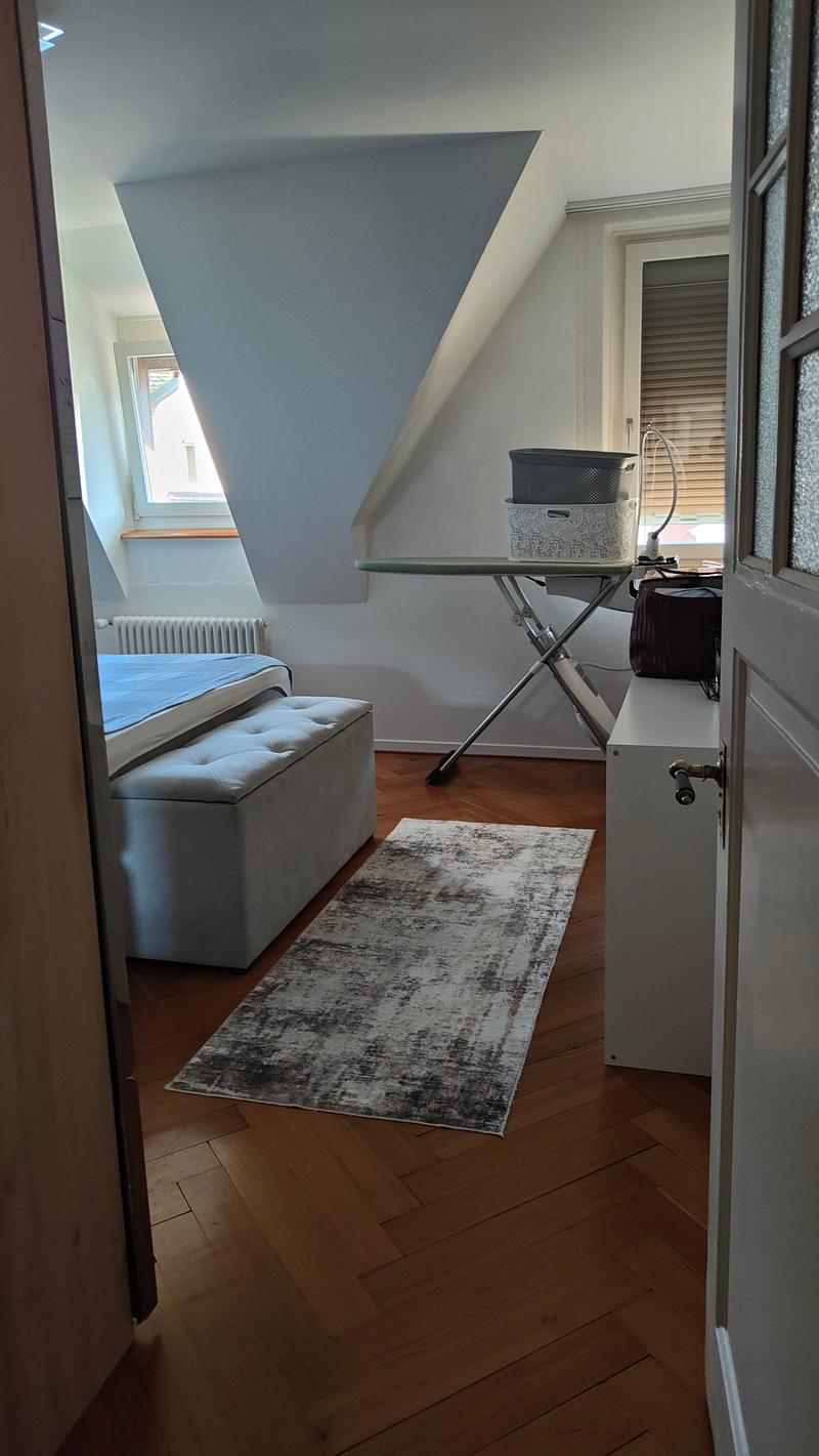 Charmante 4-Zimmer-Altbauwohnung  mit Seesicht (2)