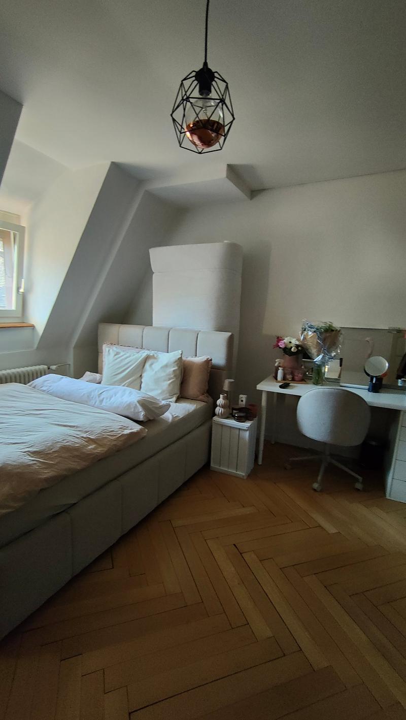 Charmante 4-Zimmer-Altbauwohnung  mit Seesicht (5)