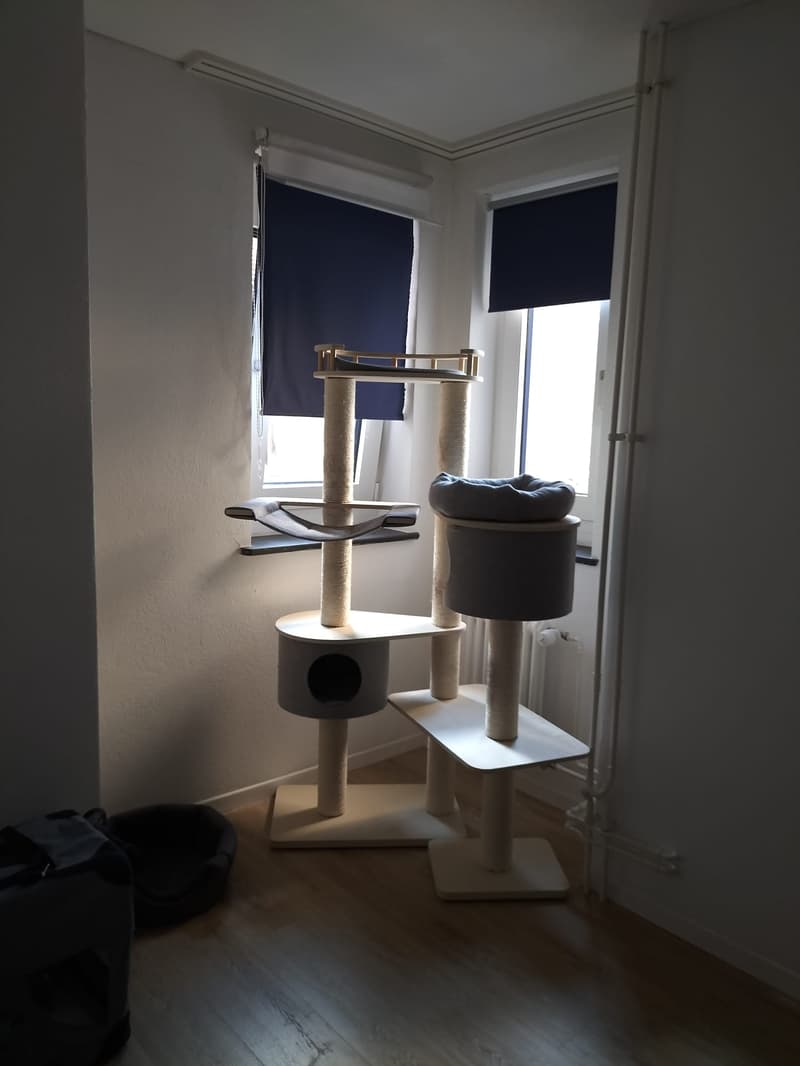Charmante 4-Zimmer-Altbauwohnung  mit Seesicht (7)