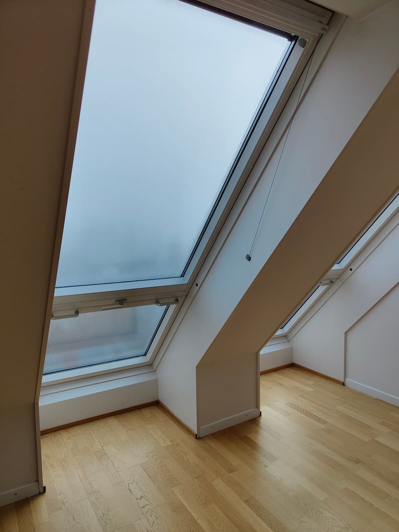 Charmante 3.5-Zimmer-Dachwohnung mit Seeblick in Rorschach (14)