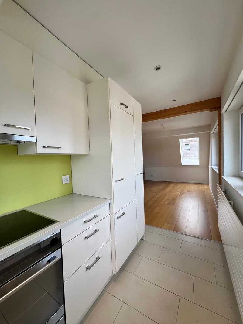 Charmante Dachmaisonette mit Dachterrasse und Alpenblick (7)