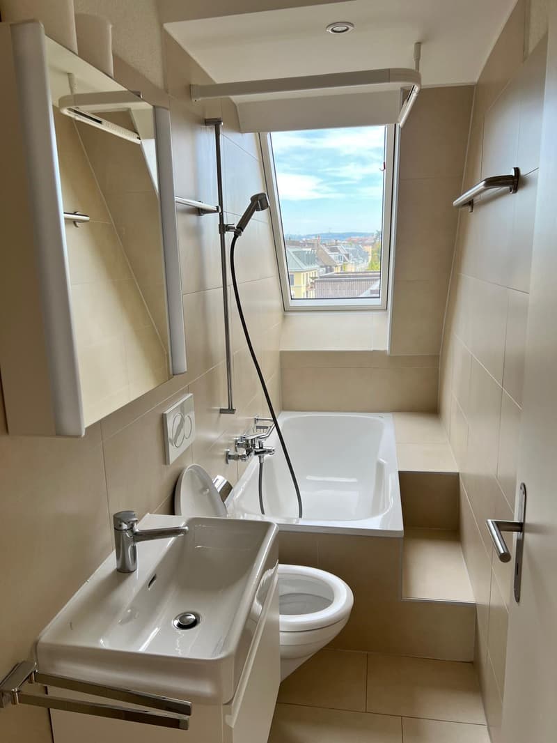 Charmante Dachmaisonette mit Dachterrasse und Alpenblick (10)