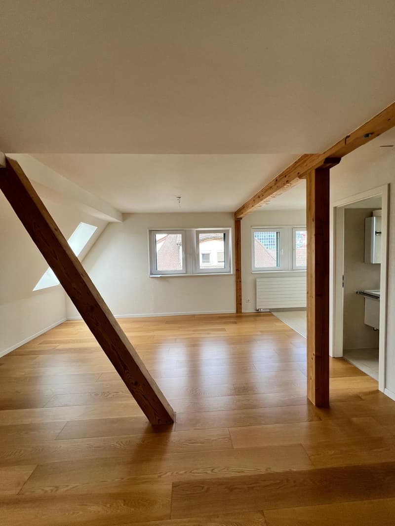 Charmante Dachmaisonette mit Dachterrasse und Alpenblick (5)
