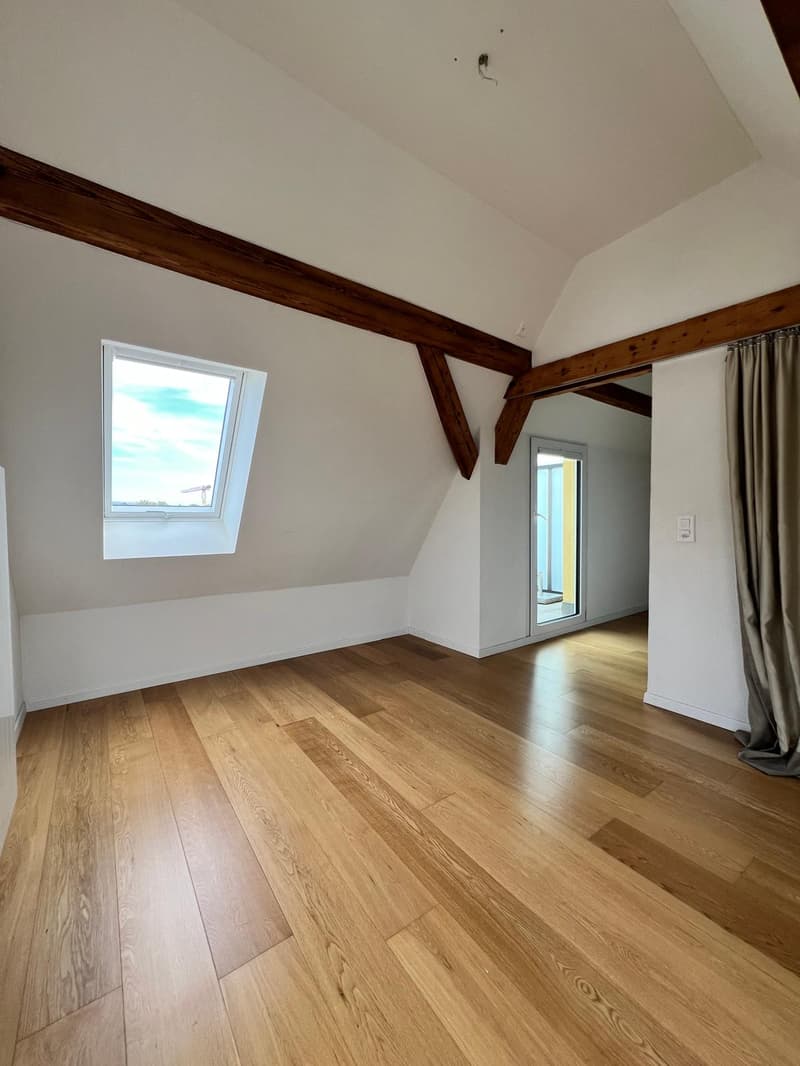 Charmante Dachmaisonette mit Dachterrasse und Alpenblick (15)