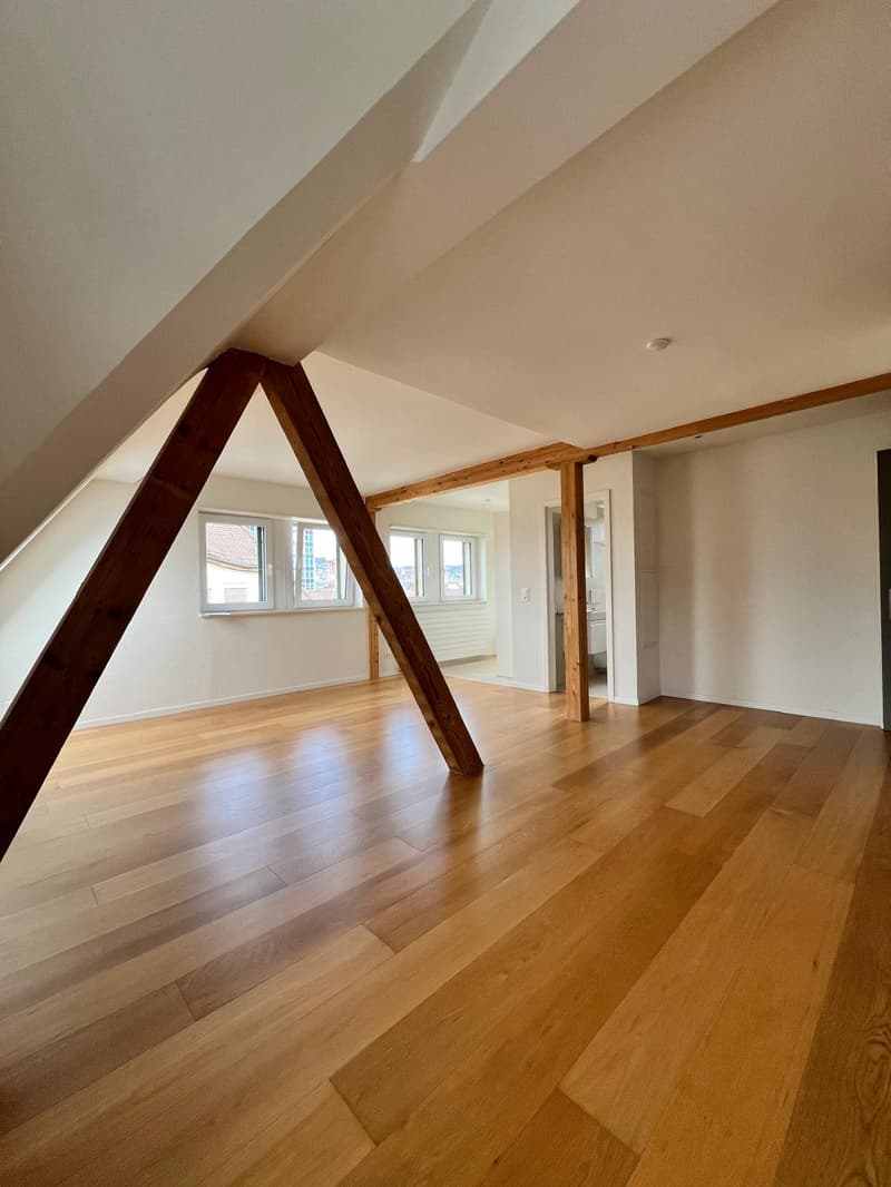 Charmante Dachmaisonette mit Dachterrasse und Alpenblick (3)