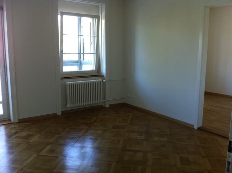 Helle 4-Zimmer-Wohnung mit Balkon an der Albisstrasse in Zürich (2)