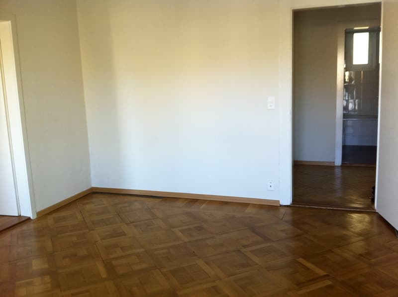Helle 4-Zimmer-Wohnung mit Balkon an der Albisstrasse in Zürich (3)