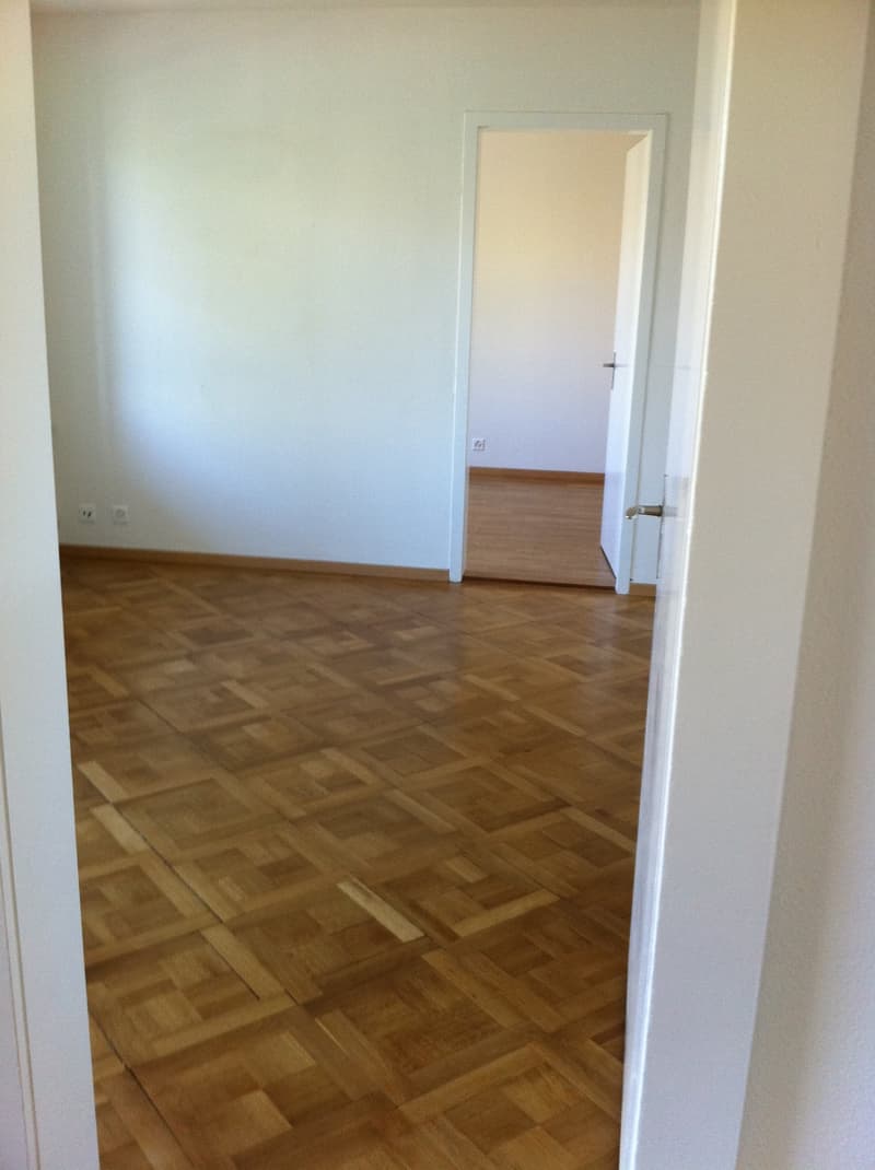 Helle 4-Zimmer-Wohnung mit Balkon an der Albisstrasse in Zürich (4)