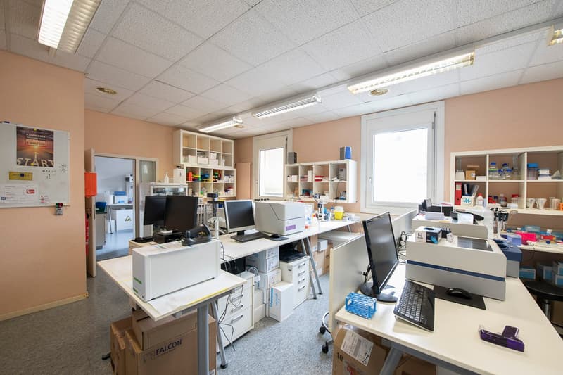 Magnifique locaux d'env. 290m2 au 2ème étage du CTN 16 (9)