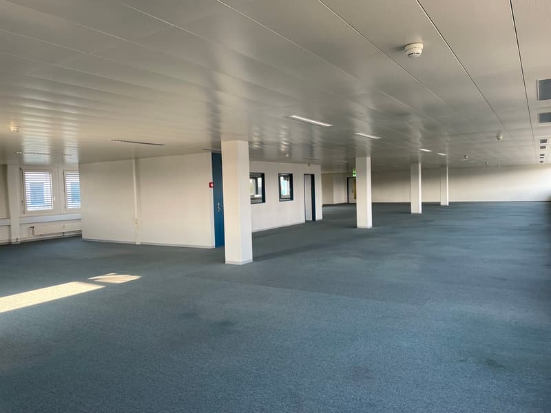 open space with ceiling lights, carpeted floor, two windows, doors