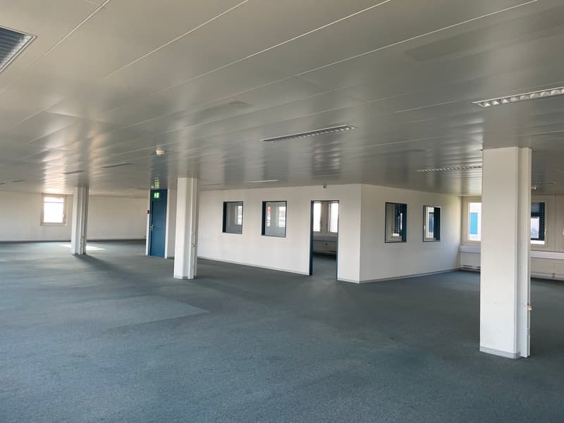 Open space with white walls, grey floor, white ceiling, columns, two windows