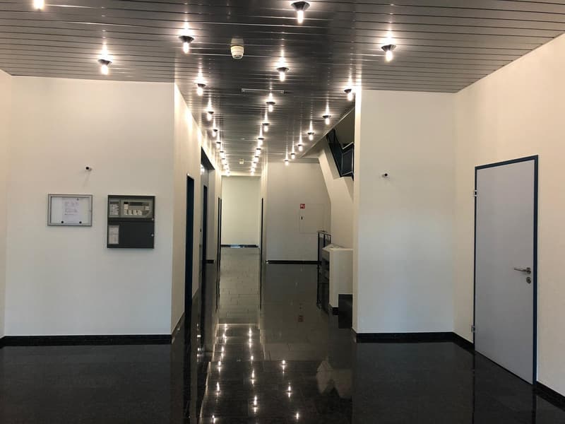 Modern hallway with white walls, black flooring, embedded lighting, and closed doors.