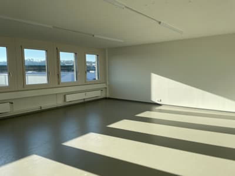 Empty room with windows, white walls, gray floor, shadow of lights on the floor