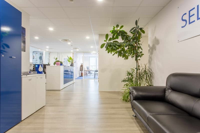 Bureaux / Labo de 1'600 m² à Plan-les-Ouates (1)