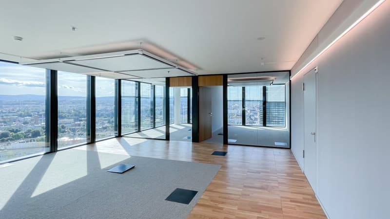 Modern ausgebaute Bürofläche im Basler Messeturm - Ihr neues Büro wartet auf Sie! (1)