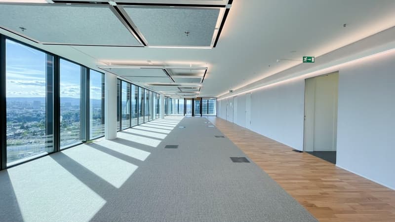 Modern ausgebaute Bürofläche im Basler Messeturm - Ihr neues Büro wartet auf Sie! (1)
