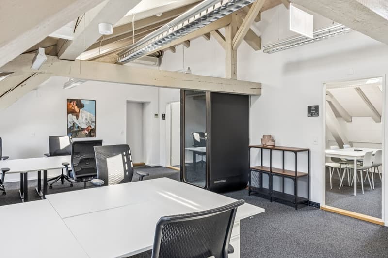 Flexible & moderne Büroflächen im FlexOffice Bern Genfergasse (5)