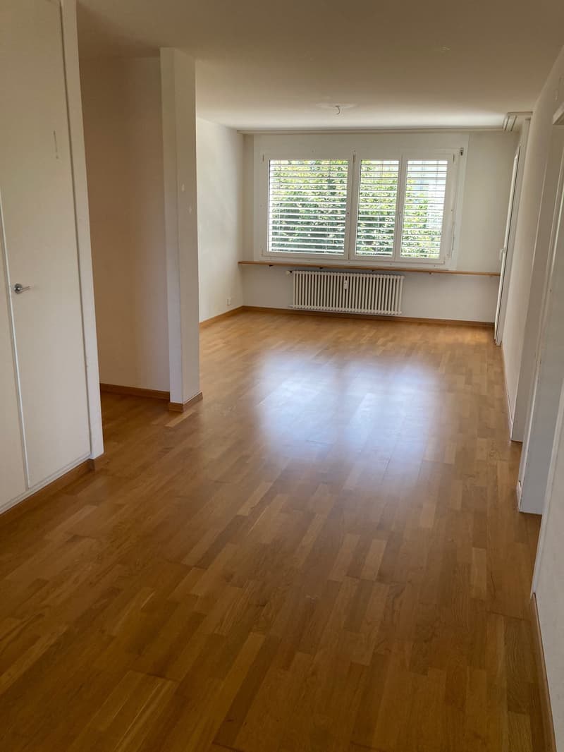 Helle 4.5-Zimmer-Wohnung mit Balkon in Langenthal – sofort verfügbar! (5)