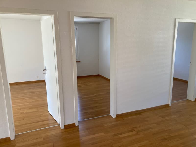 Helle 4.5-Zimmer-Wohnung mit Balkon in Langenthal – sofort verfügbar! (12)