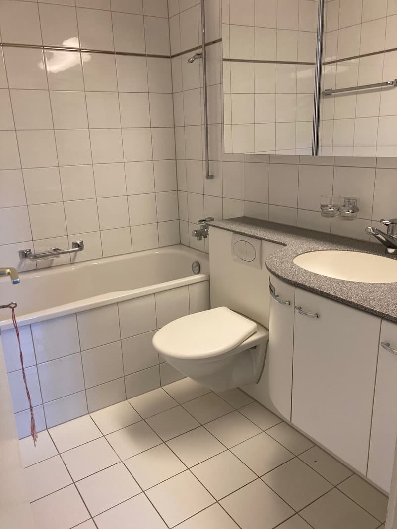 Helle 4.5-Zimmer-Wohnung mit Balkon in Langenthal – sofort verfügbar! (10)
