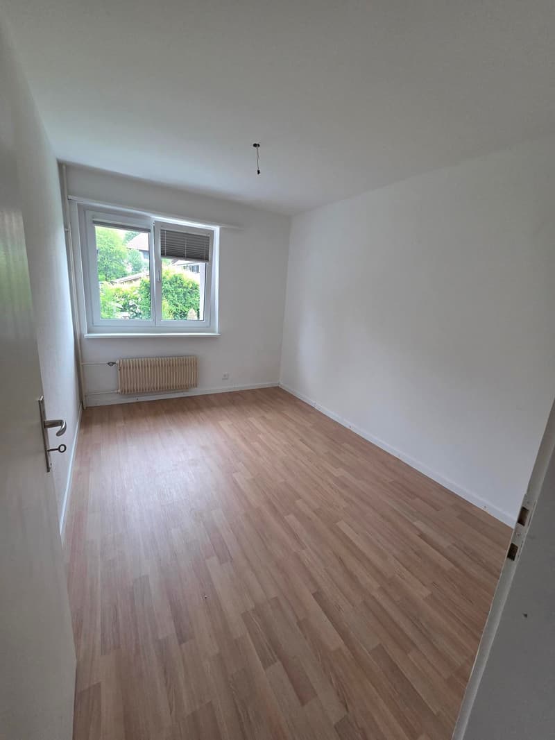 Charmante 4.5-Zimmer-Wohnung in Rohrbach – modern renoviert und sofort verfügbar (5)