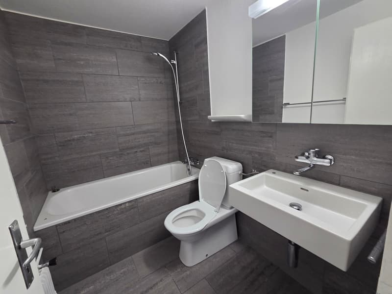 Charmante 4.5-Zimmer-Wohnung in Rohrbach – modern renoviert und sofort verfügbar (1)